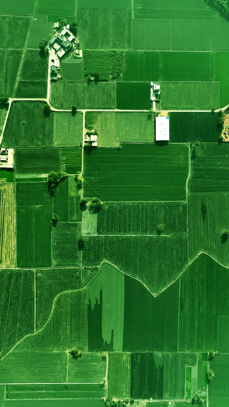 precision farming